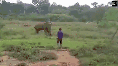 原油：油价上涨 以色列在—卡塔尔发动袭击重燃中东风险