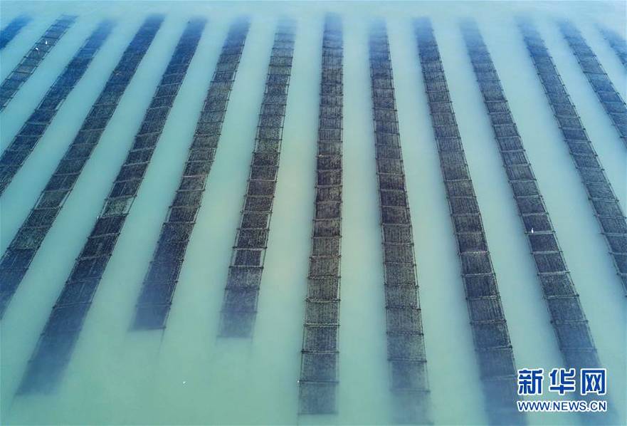 利元亨副董.事长<卢>淼确认出席高工锂电15周年年会