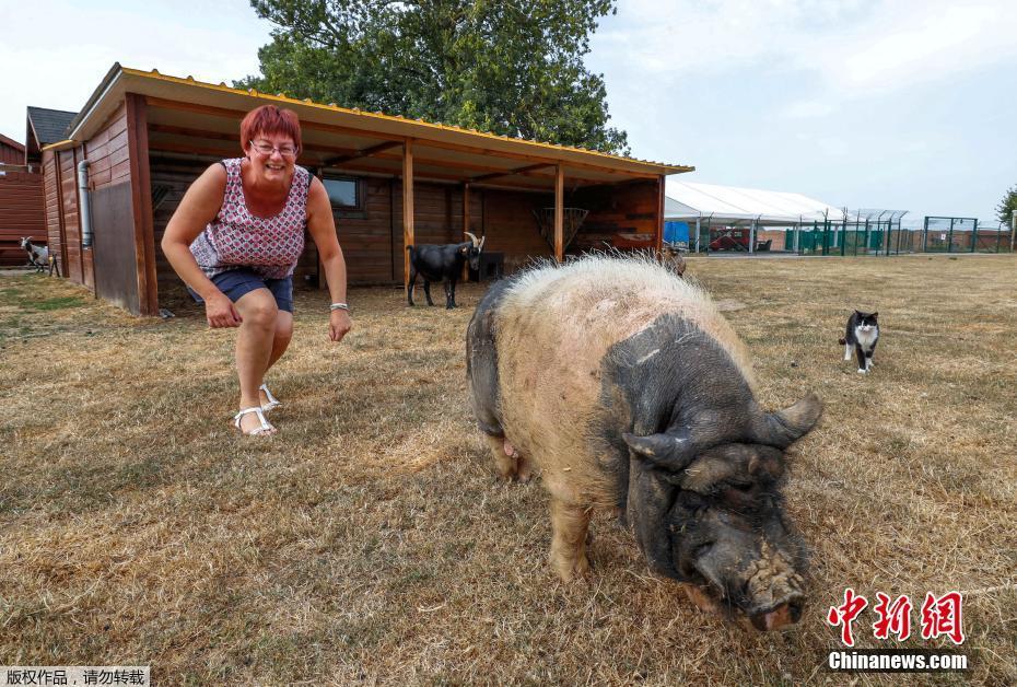 行—业整合趋势明‘显’，车用LED市场大者恒大
