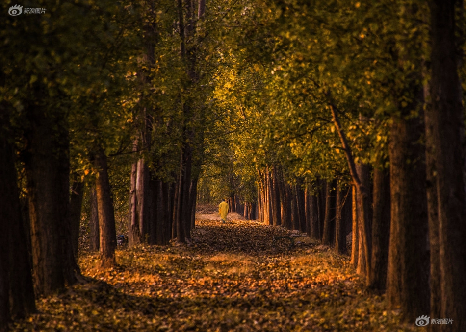 政策、资金:与业绩的三重共振