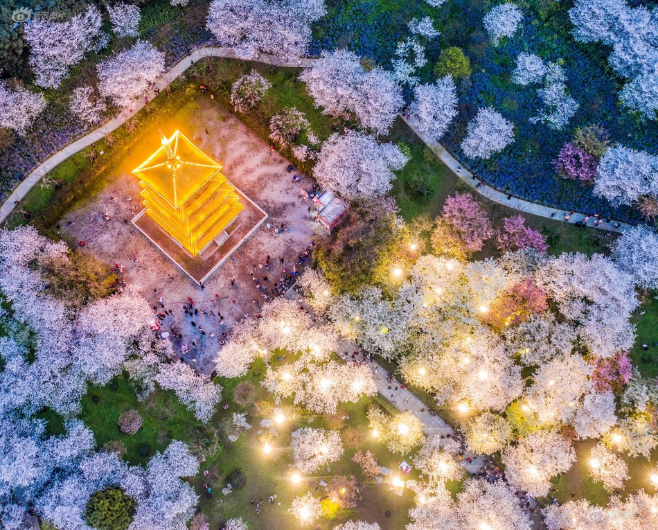 花.旗聘请律所调查针对财富管理业务主管Andy Sieg的投诉