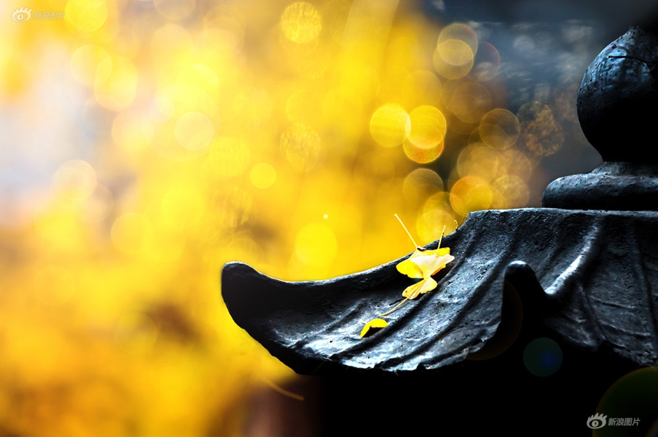 首<程>控股盘中涨超8% 东吴证券维持公司“买入”评级