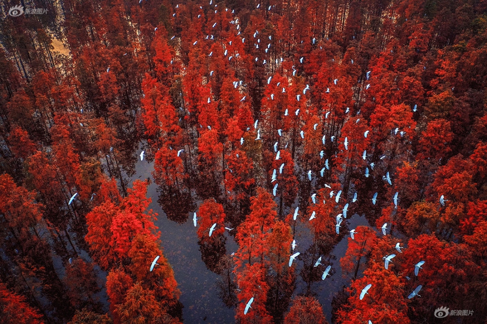 被就业数据夹?击的英—镑：1.3350是在筑底，还是下跌中继？