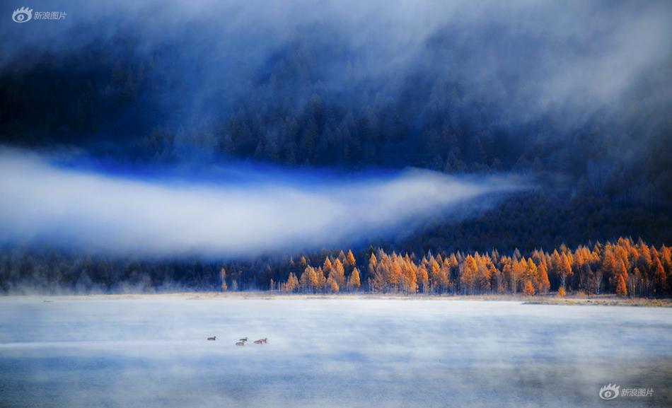 华特达因：公;司代理,的褪黑素产品目前尚未实现上市销售