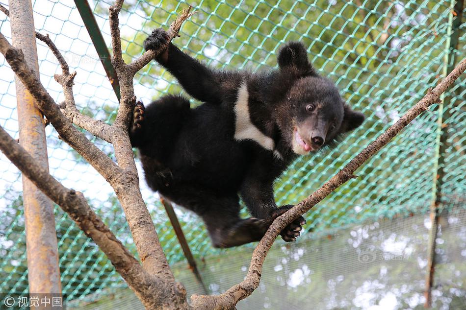 航新科技!复牌大跌 衢州创科成实控人