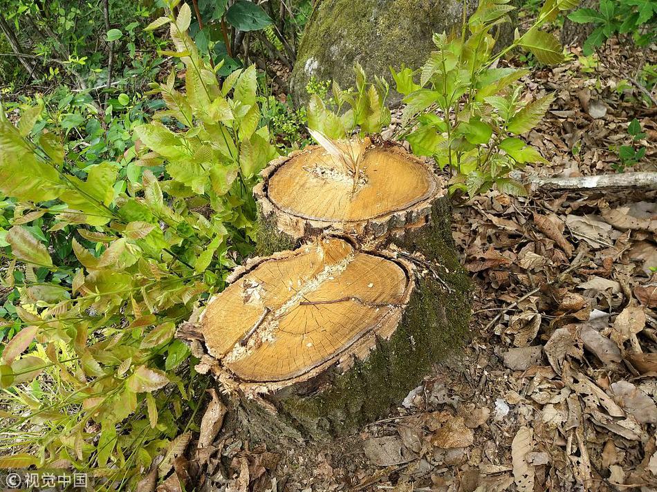 国,民养老开启新一轮股东遴选：一场资源整合阳谋