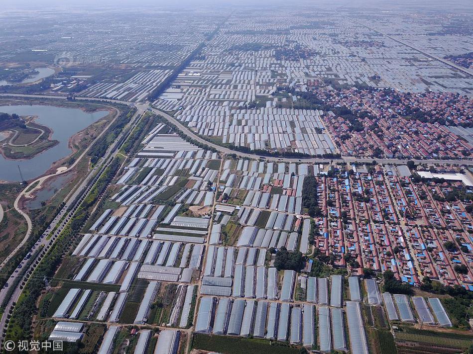 贵州百灵董事,长被立案后致信全体同事