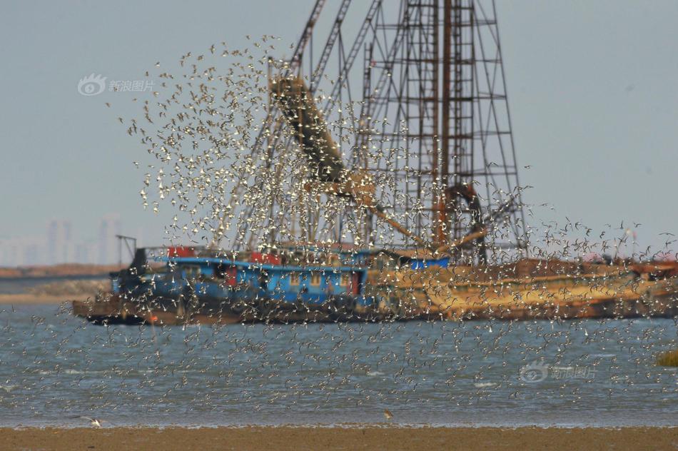 Zoom上涨9% 公司上调年度业绩展望