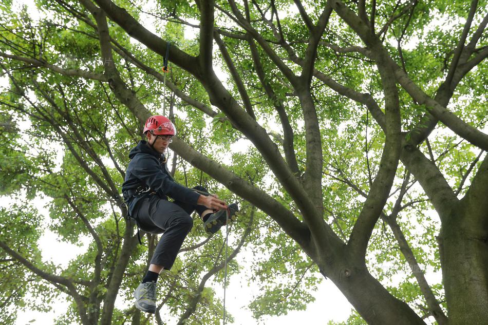 评—定汉高股份有限及两合公司主体信用等级为“AAAspc”，展望稳定