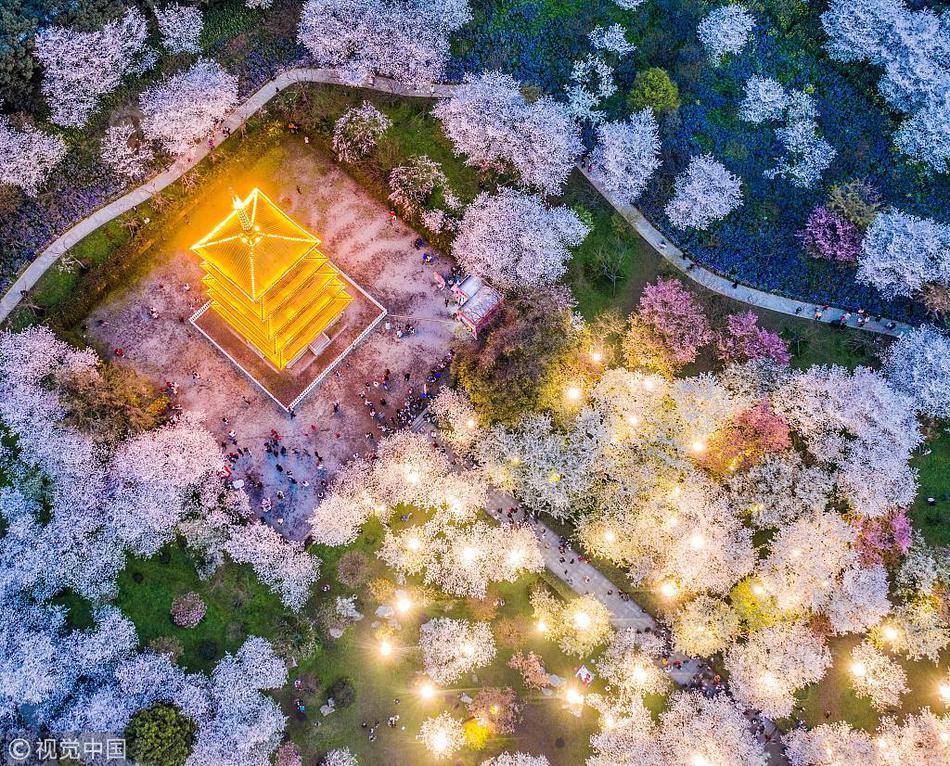 每—天损失2000万美元！日本车企度日如年：汽车关税下调何时落地？