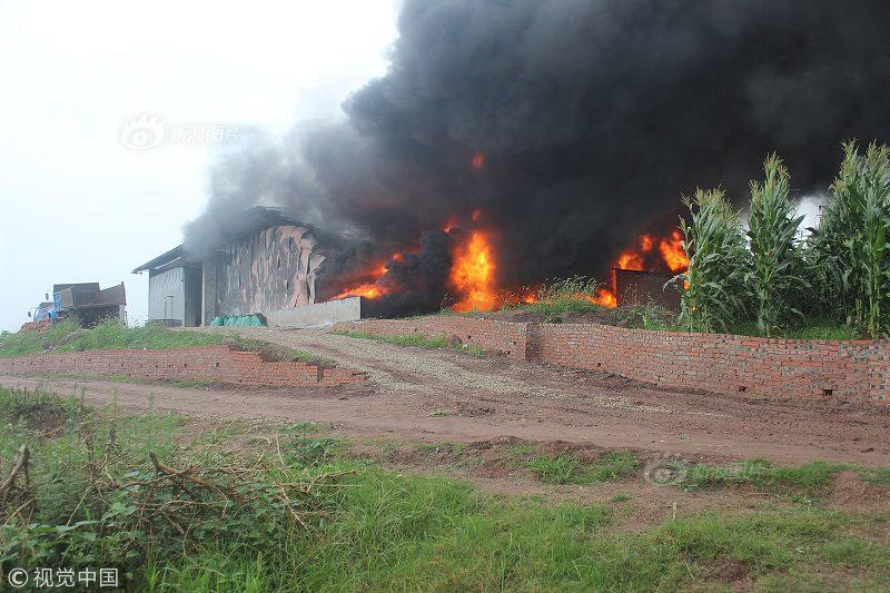 埃泰克,业绩增速放缓背后：奇瑞依赖症与产能困局