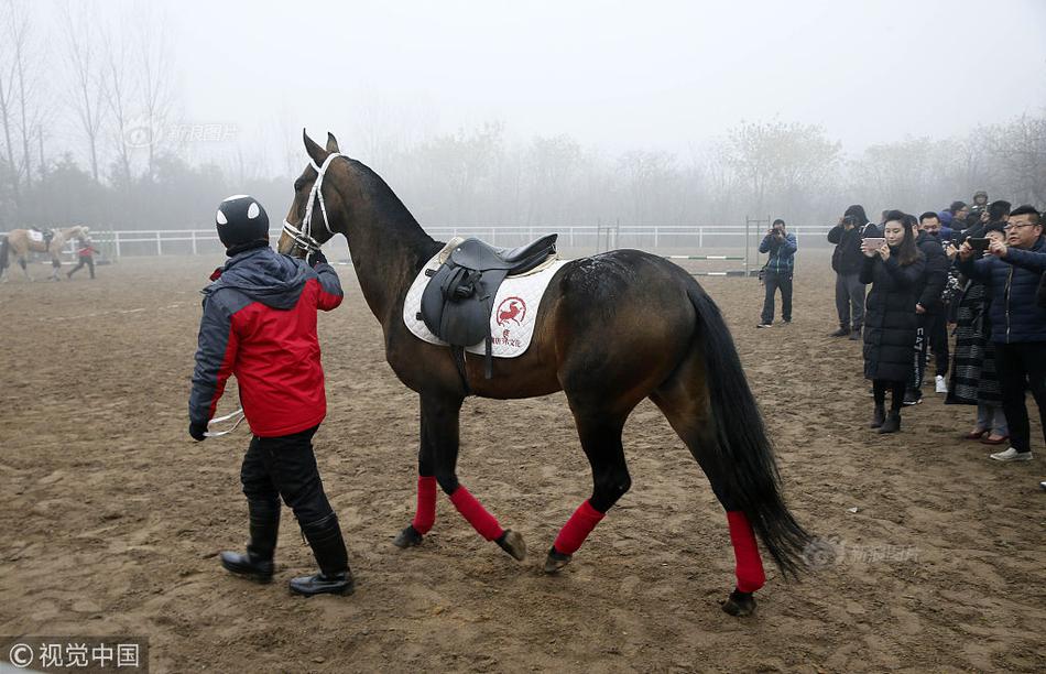 搜狐<Q>2营收1.26亿美元 净亏损同比收窄超40%达此前最佳预期