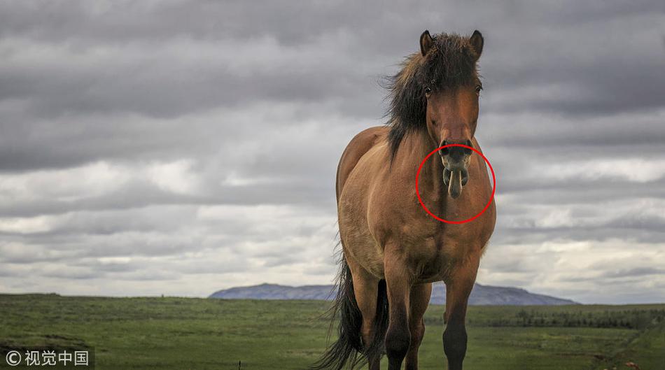 美:国.9月PCE通胀指标和个人收入报告将在12月5日发布