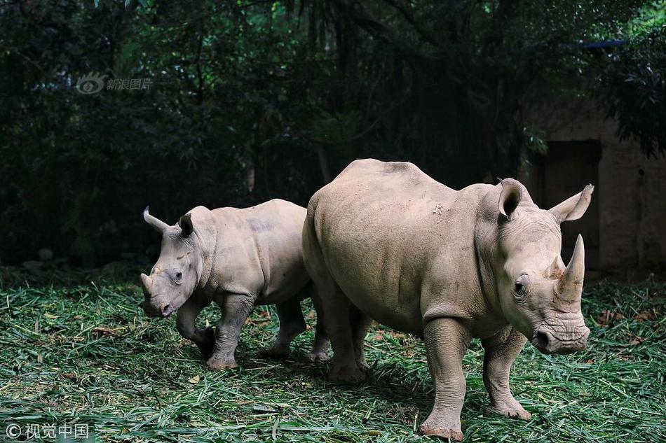 渣打：预计美联储.9月降息50个基点 因非农数!据显示就业市场降温