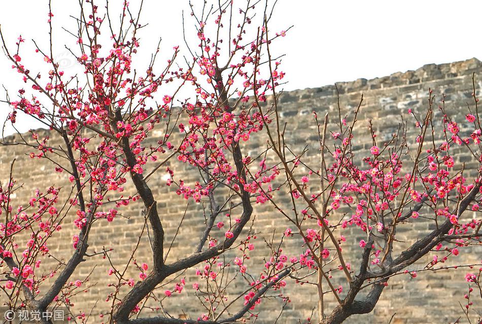 博通盘前,大涨14.8%