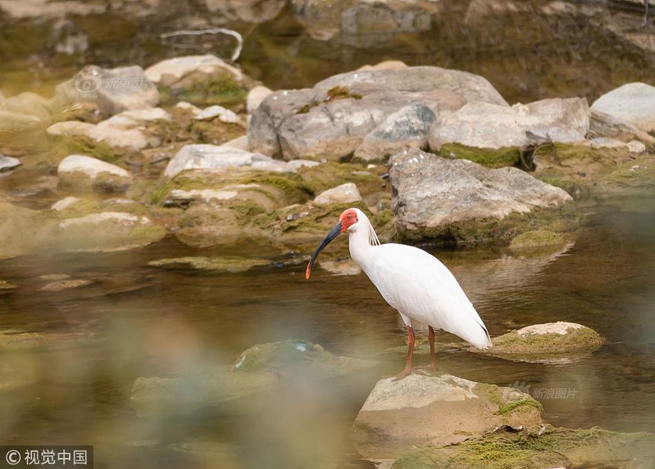 星展银行：重申—腾讯控股“买‘入’”评级 目标价800港元