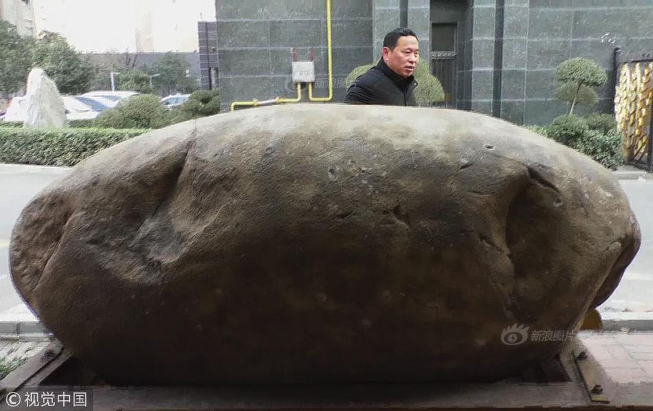 2—6只中国股票新纳入！MSCI指数迎来调整，相关公募基金表现如何？