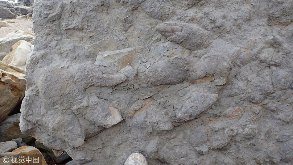 光大期货：9<月>16日有色金属日报