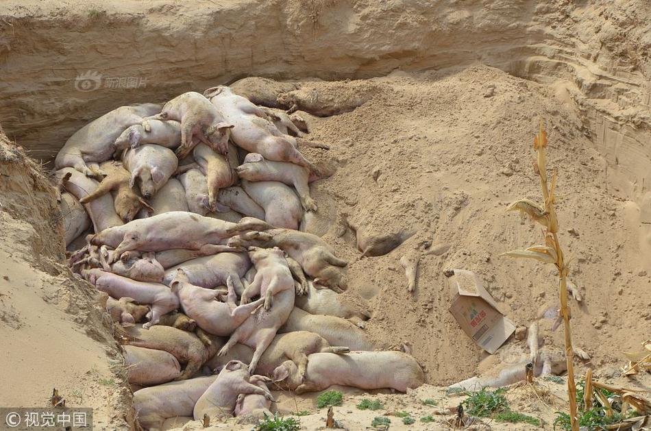 海‘伦’哲：今.年以来，广东新宇新签订单同比增长89%左右，其中约60%的新增订单与储能相关