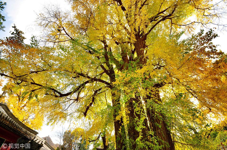 济南华为路由器推荐华为AR6121EC-S八月促销