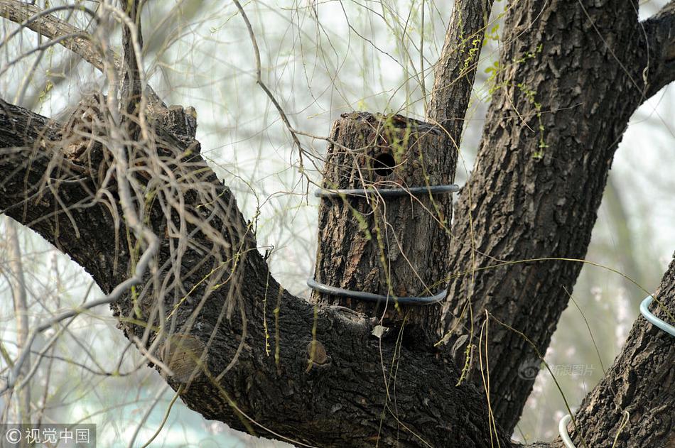 石药?集团业绩下滑承压：股价两个多月跌三成，被多家机构下调目标价