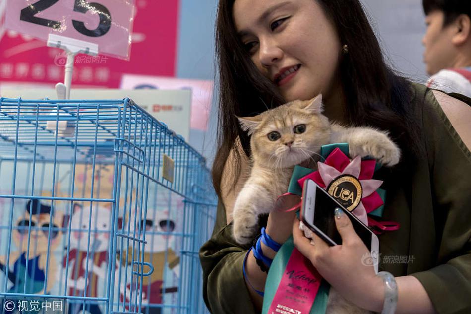 2025上半年中国折叠屏市场增长12?.6%，华为以75%份额稳居首位