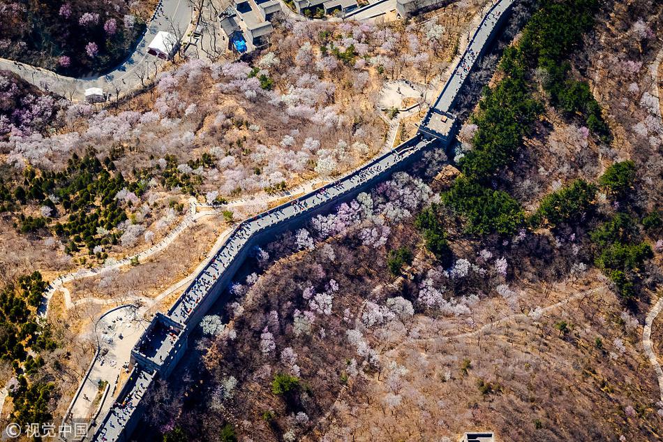 汽:车设计!“进化”成这样了？