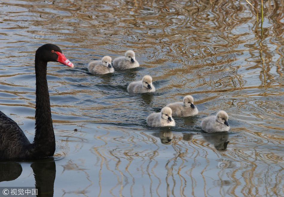 券商年内科?创债发行规,模已超570亿元