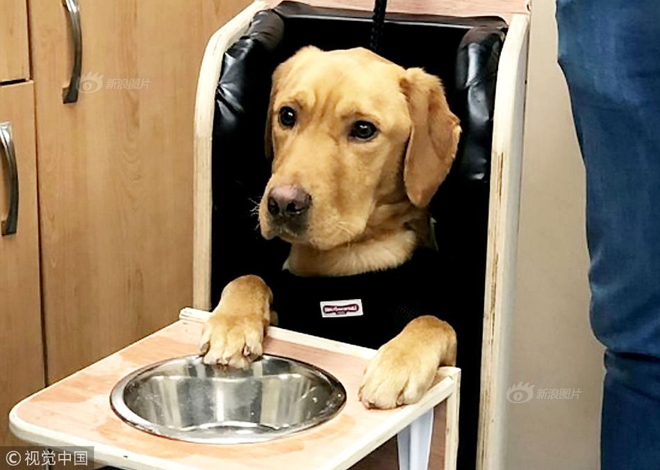 金融!时报丨信达地产“康桥模式”：以专业与担当探索风险化解新路径