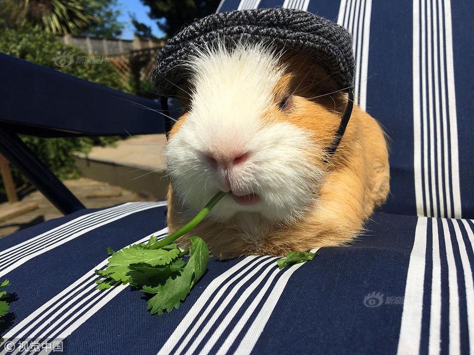 江河集:团（!601886）股东刘载望质押1981万股，占总股本1.75%