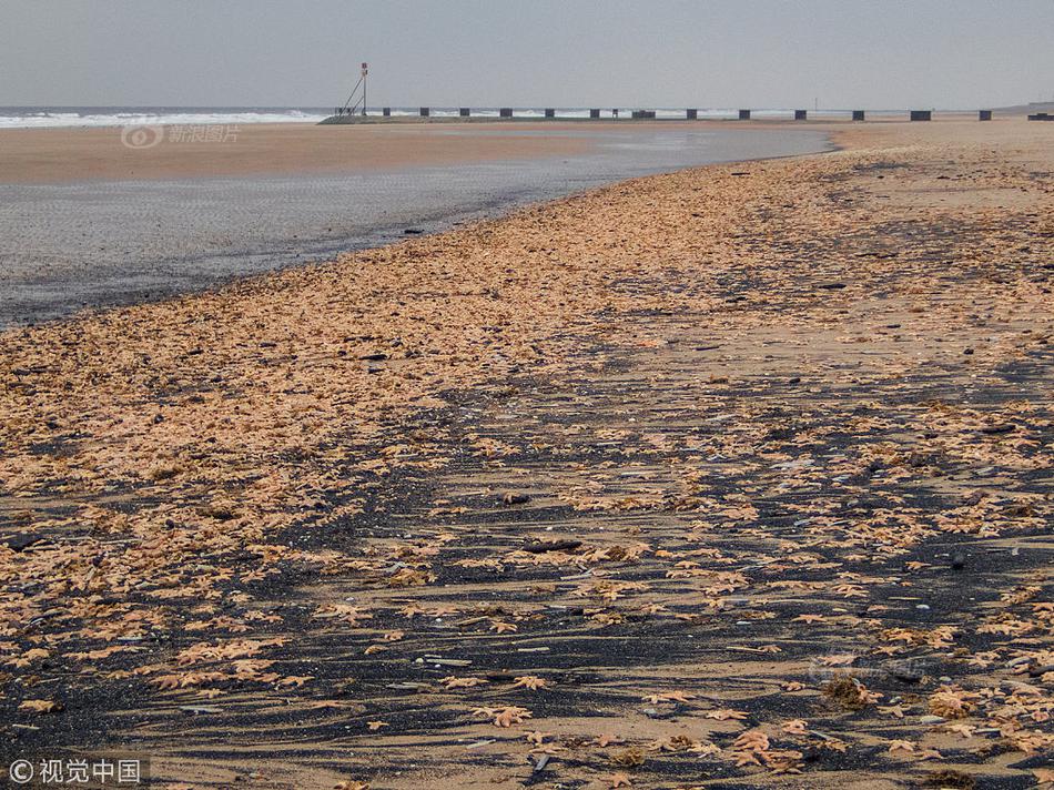 俄乌和谈进,程开启，全球,股市上涨，印度“一马当先”