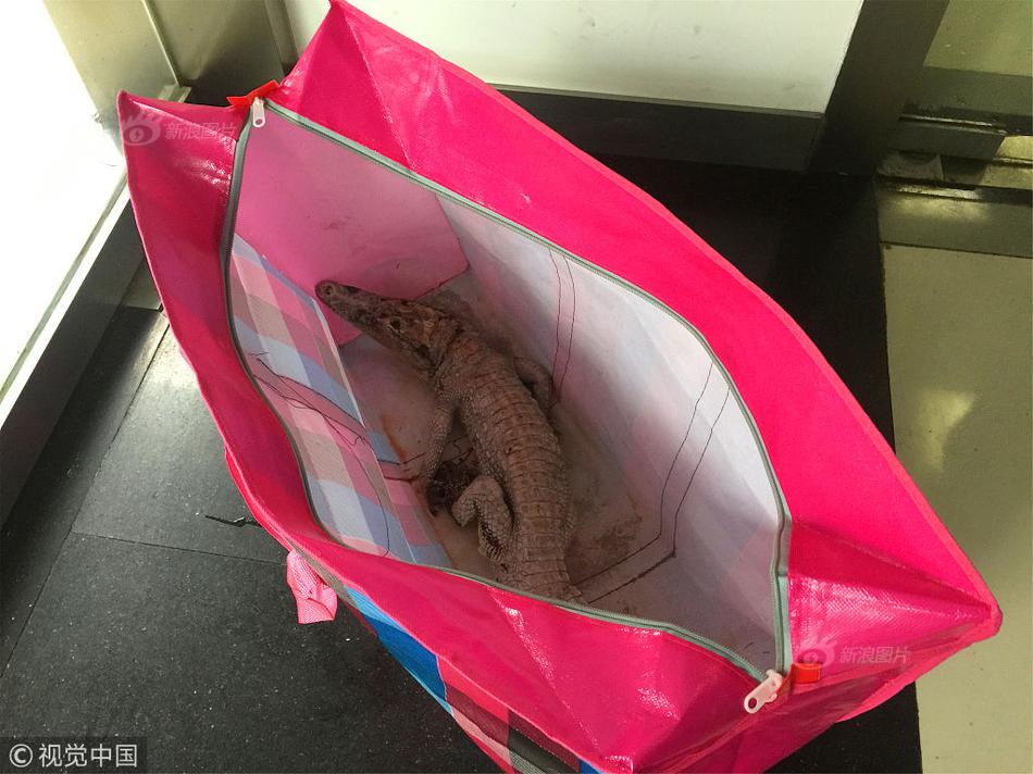 龙旗.科技：暂无AI服务器和机器人代工业务