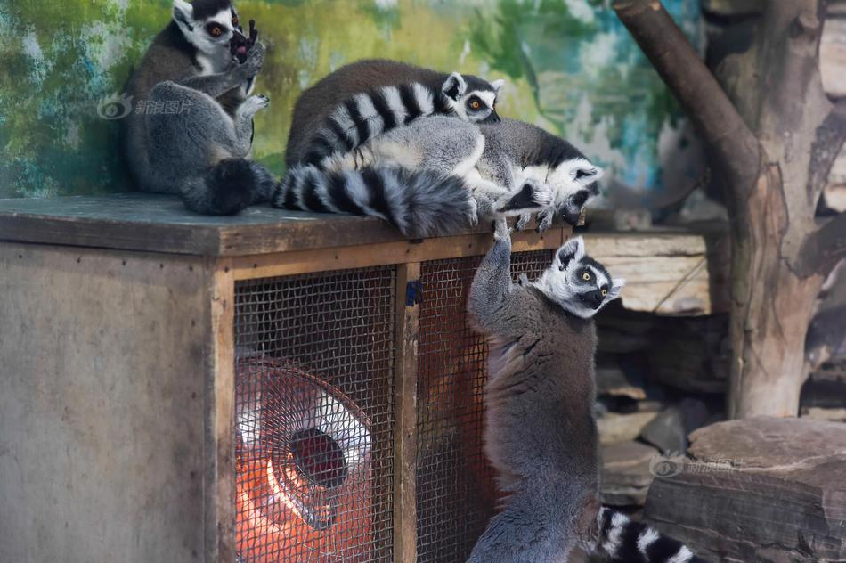 常见投诉:平台盘点：维权时你可以选择这些渠道