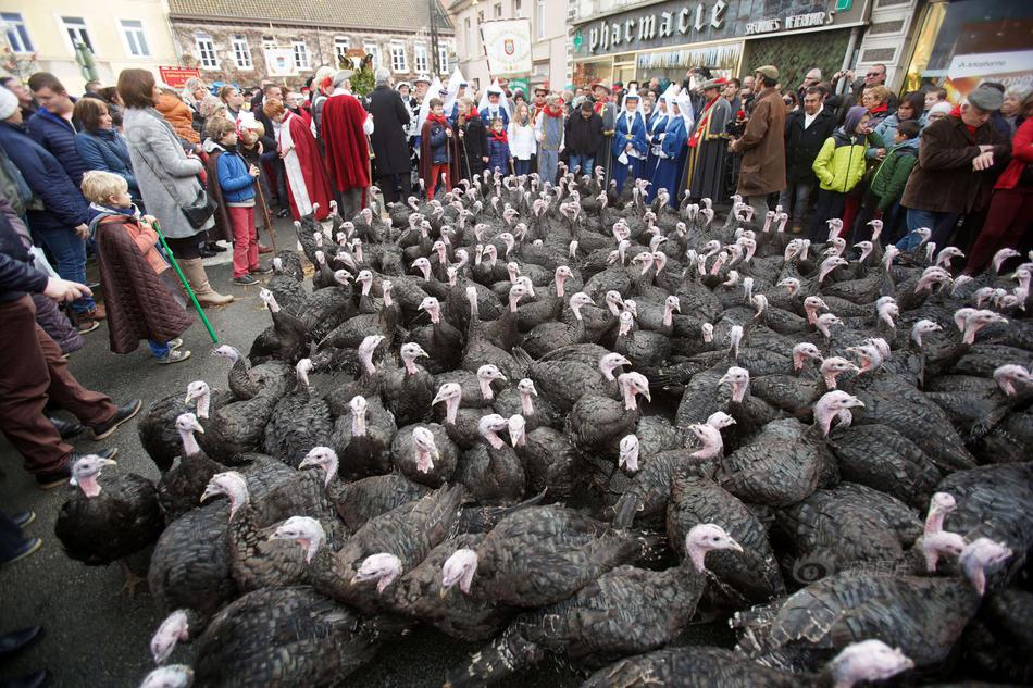 爆款?单<品>时代来临 ETF品种多点开花