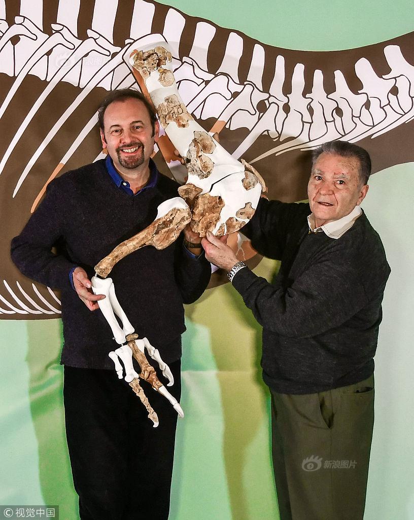 国泰海通证:券股份有限公司保荐代表人王莉女士致辞