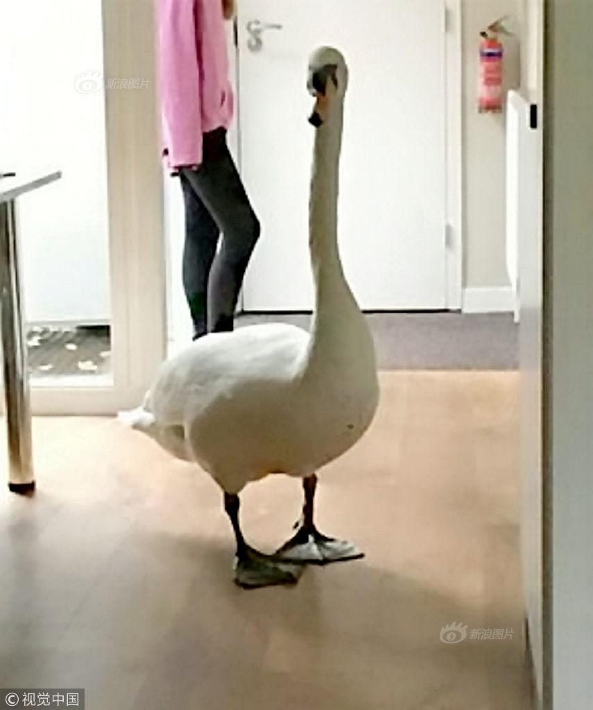 艾芬达：公司产品:已;经覆盖天猫、京东、抖音等主流电商平台