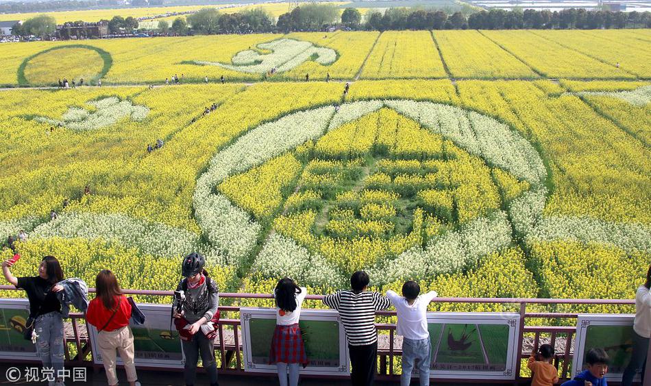 金科智慧服务.集团港股停牌