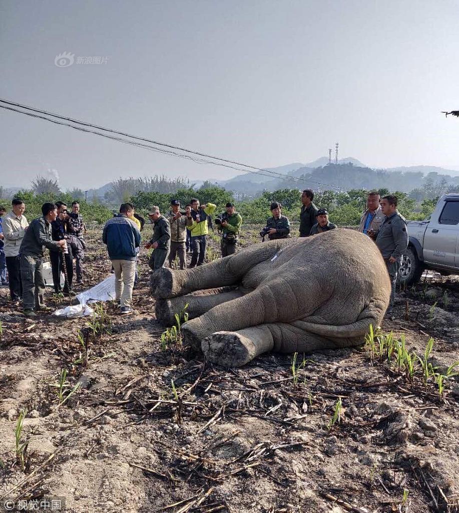三星、S?K海力士股价因与OpenAI达成芯片协议大幅上涨