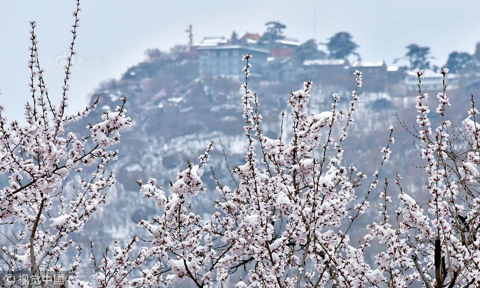 中—建集:团完成增持中国建筑股份 持股比例提升至57.70%