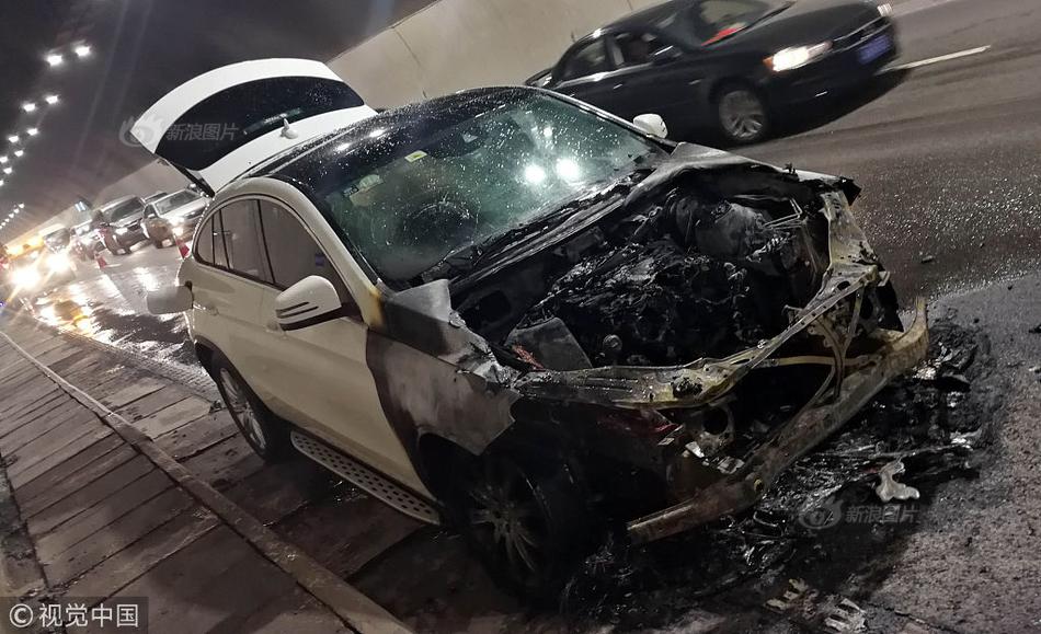 光刻机;板块震荡走弱，永新光学、张江高科双双跌停