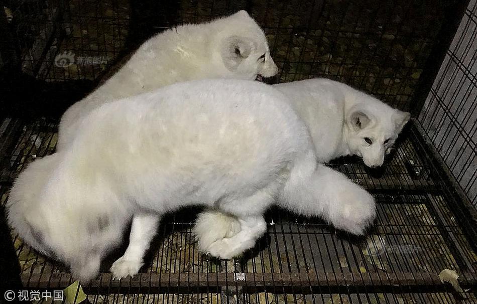 香港<宏>福苑火灾直保再保联手理赔，巨额赔付或倒逼风控升级
