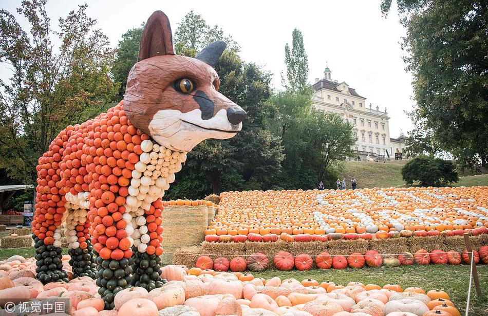 上?市公司前三季度“成绩单”出炉！