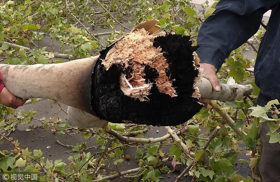 全面进,入存量市场，这个双十一，手机却「卖爆了」？