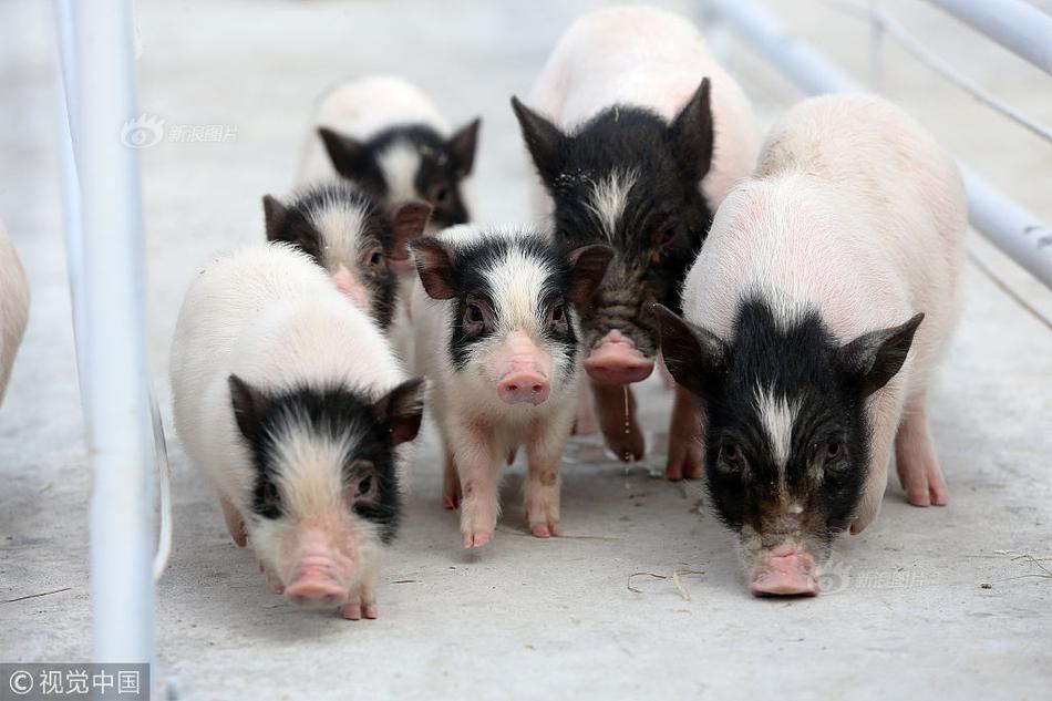 ET?F:“双线发力”：品类拓宽  出海拓展