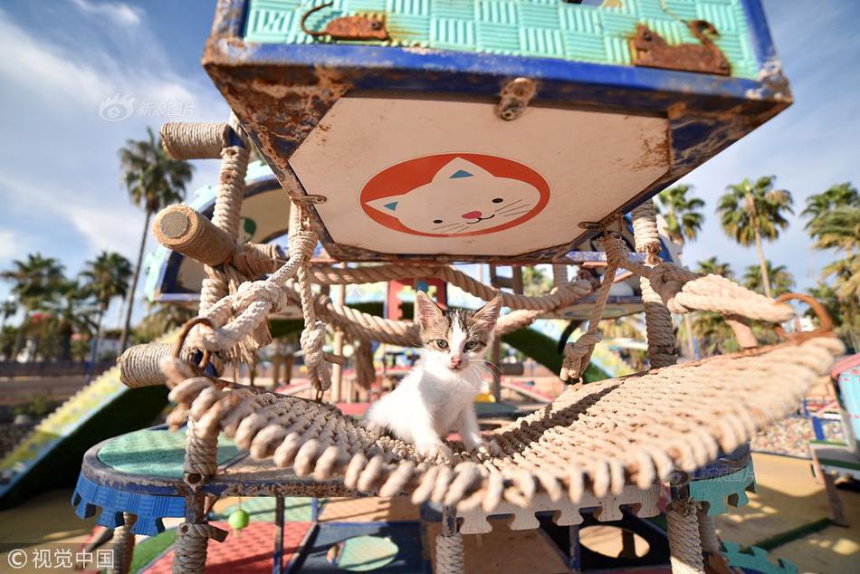 先达股!份：烯草酮供需平衡、价格一单一议，吡唑喹草酯销售符合预期