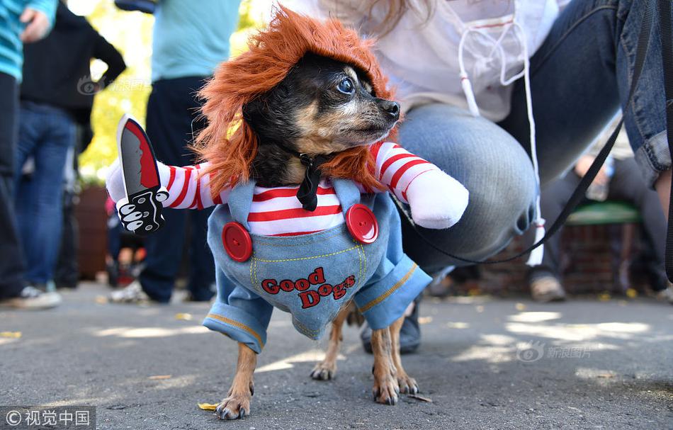 易华录（300212）2025年中报简析：亏损收窄，短期债务压力上升