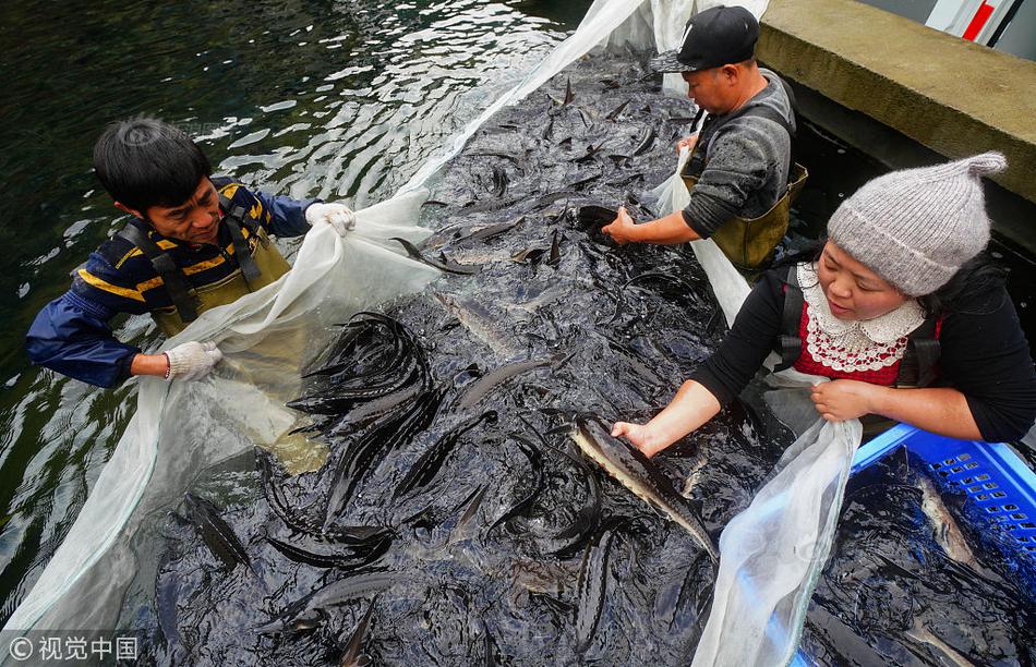 Zoo—m在强劲业绩表现的基础上继续涨， 欧洲、中东和非洲地区同比增长6% 亚太地区同比增长4%