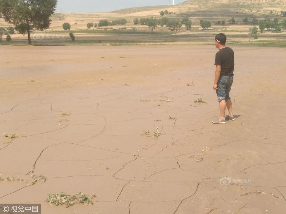 东!山<精>密：拟发行H股股票并在香港联交所主板上市