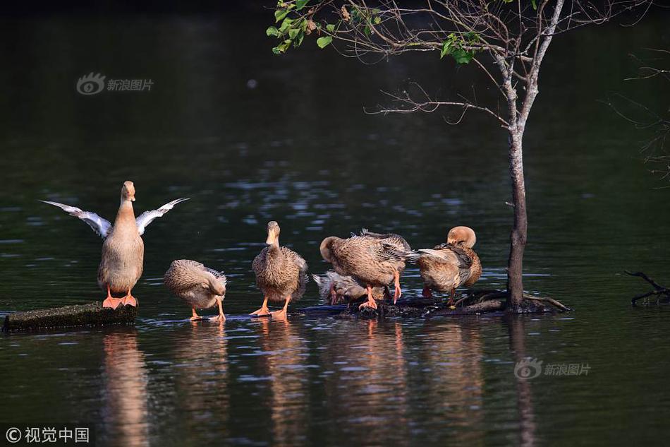 “清朗,・优化营商网络环境 — 整治涉企网络‘黑嘴’”专项行动公开曝光第二批典型案例