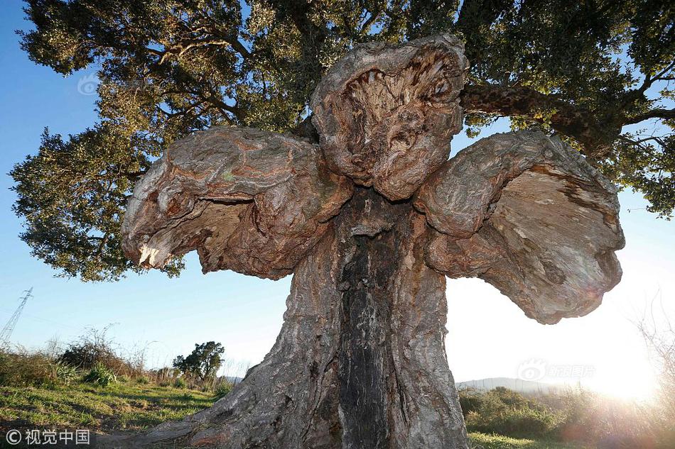 荣—昌生物(09995.HK)涨近5%